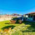 Hostel Dos Gringos in Maricá with a sunny garden patio, outdoor tables, and a dog in the yard