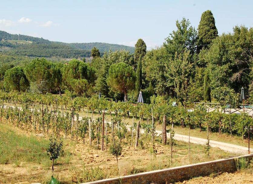 Outdoors view Photo