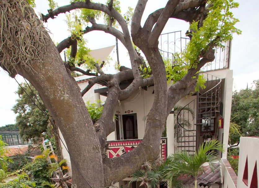 Hotel Casa Blanca in Ajijic with stone courtyard, large tree, potted plants and staircase