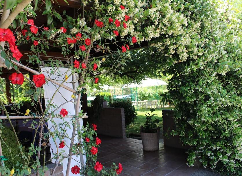 Outdoors view Photo