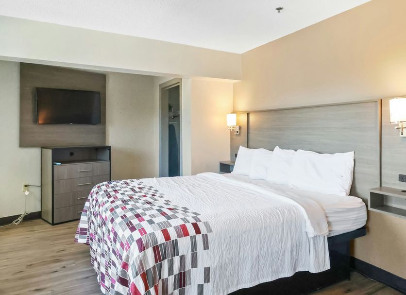 Red Roof Inn & Suites Fayetteville-Fort Bragg room with queen bed, wall-mounted TV, and bedside lighting