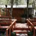 Cabañas Bordenieve in Termas de Chillan, wooden cabin deck with benches and trees