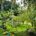 Outdoors view