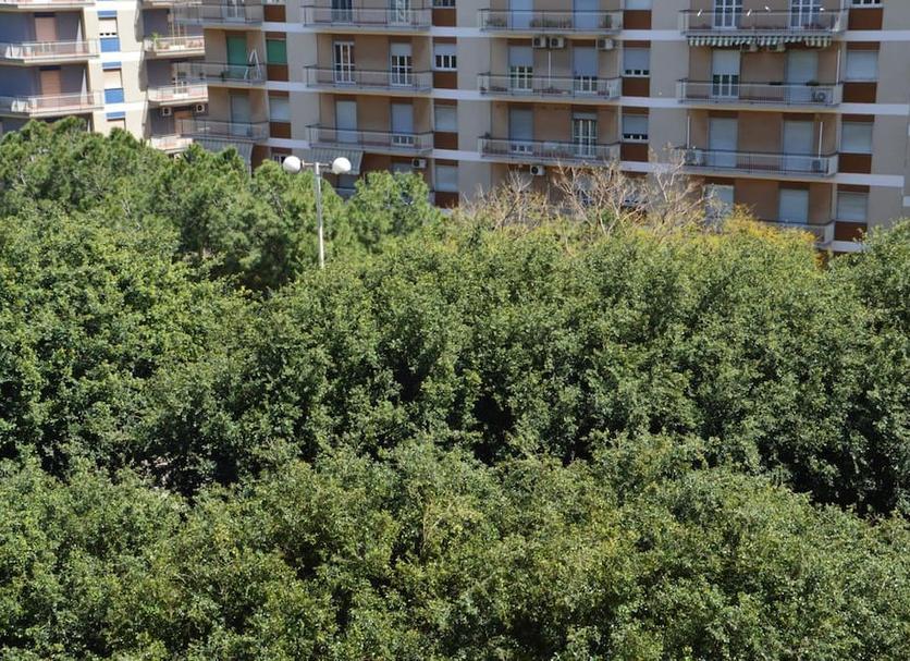 Outdoors view Photo