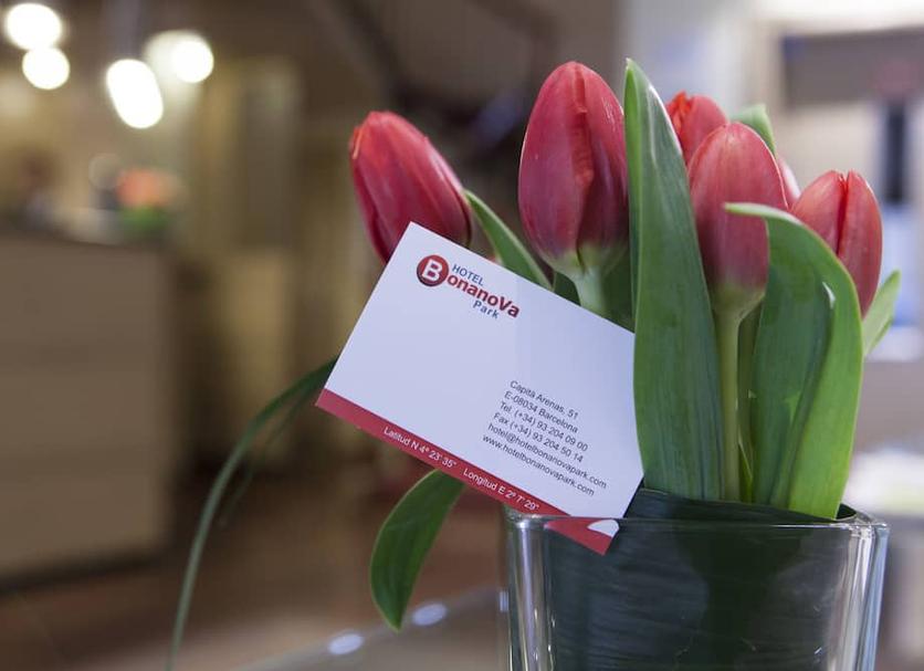 Room amenity Photo