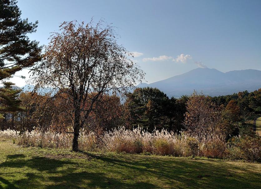 Outdoors view Photo