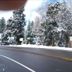 Arrowhead Mountain Inn in Lake Arrowhead beside a snowy roadside with winter trees