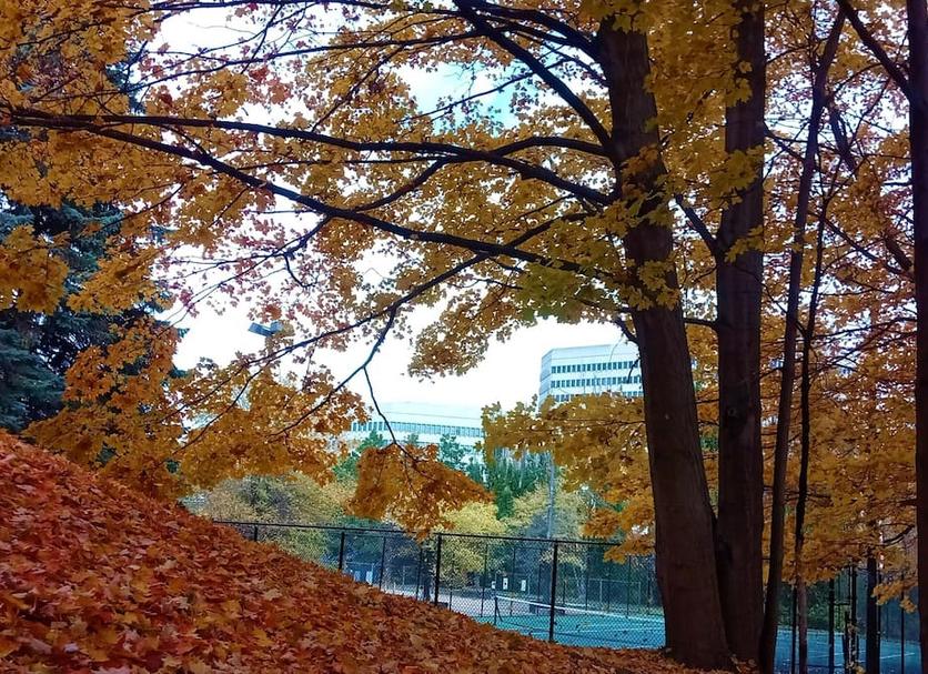 Outdoors view Photo
