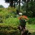 Outdoors view