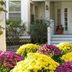 Outdoors view