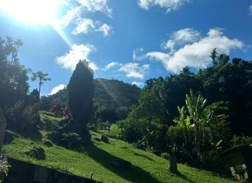 Outdoors view Photo