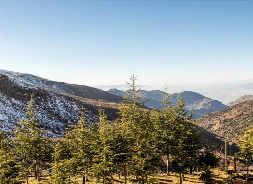 Outdoors view Photo