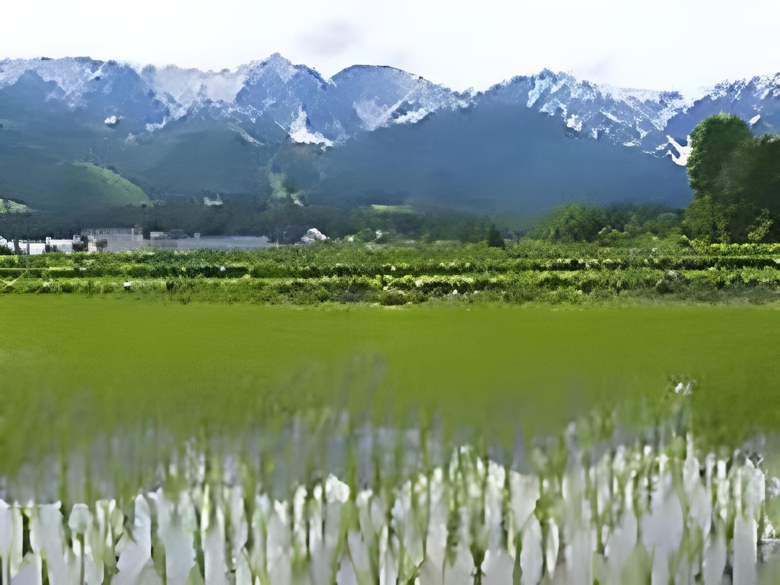 Outdoors view