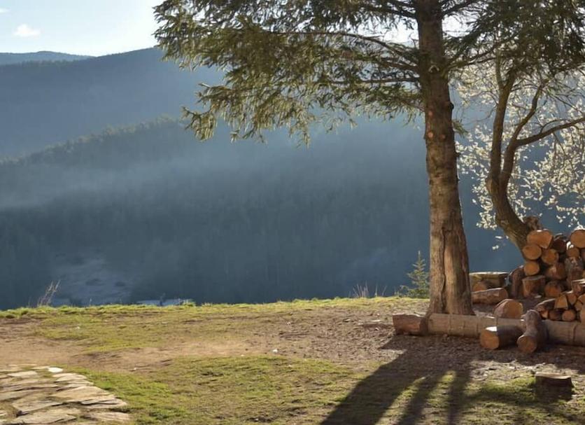 Outdoors view Photo