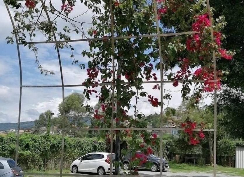 Outdoors view Photo