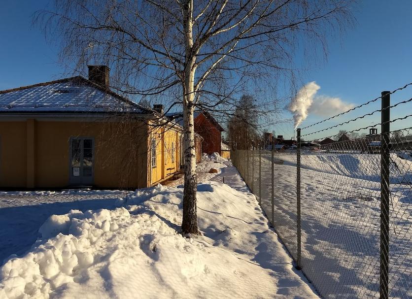 Outdoors view Photo