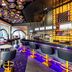 Planet Hollywood Adult Scene Cancun bar lounge in Cancún with purple lighting and high stools