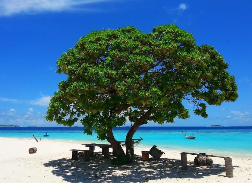 Beach Photo