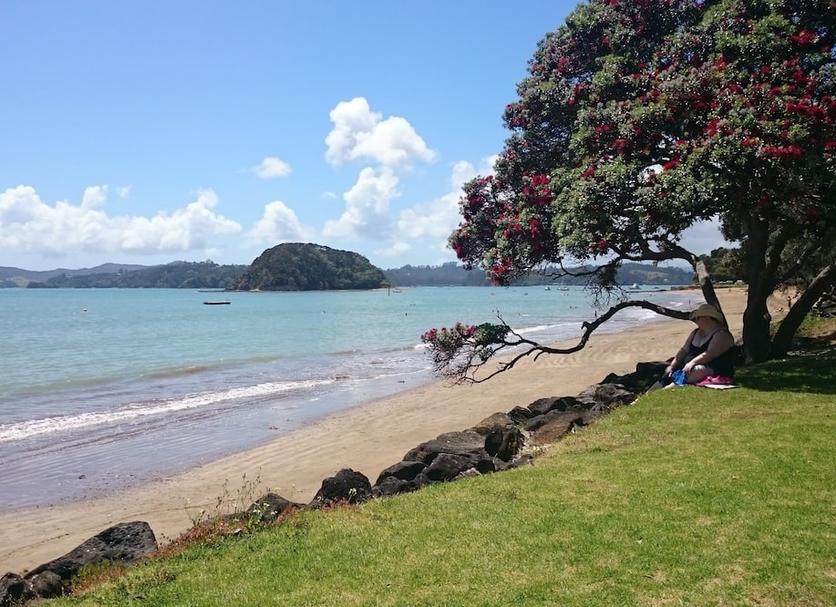 Beach Photo