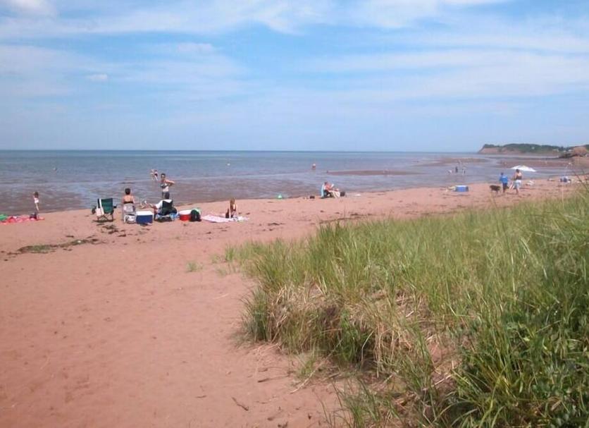 Beach Photo