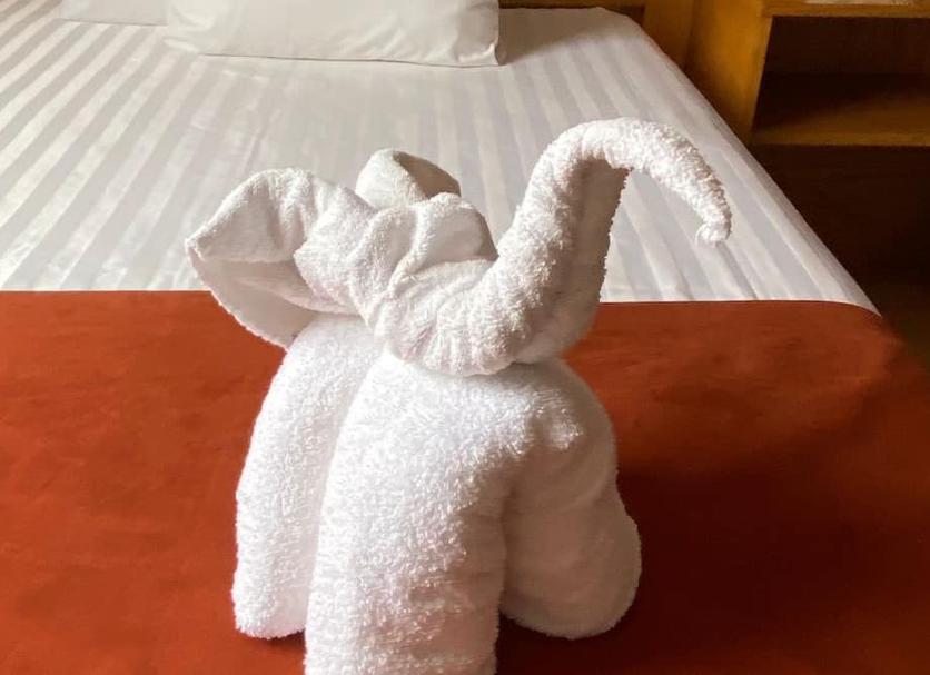 Room amenity Photo