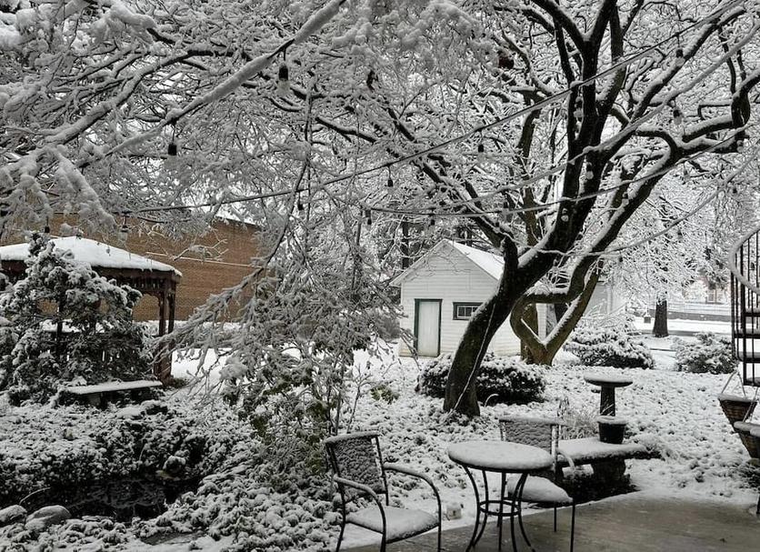 Patio Photo