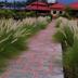 Outdoors view