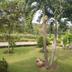 Outdoors view