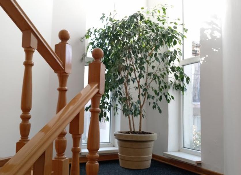 Stairs Photo