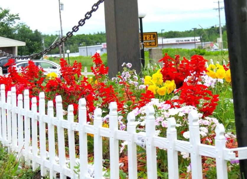 Outdoors view Photo
