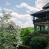 Outdoors view
