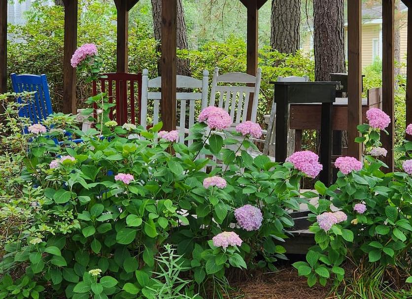 Outdoors view Photo