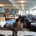 Hotel Caravelle in Jesolo dining room with buffet tables and seaside window seating