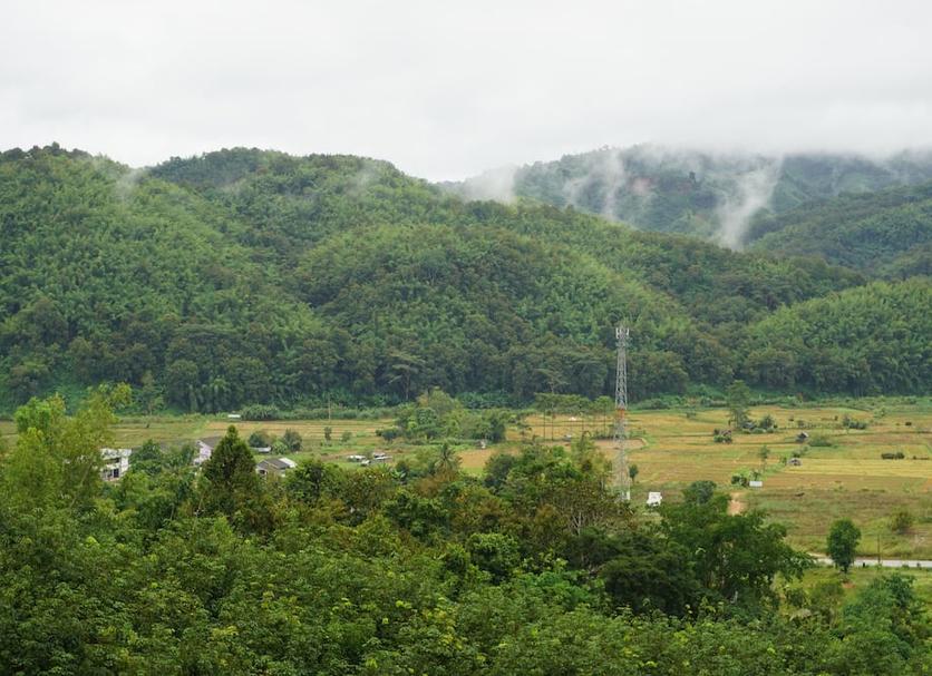 Outdoors view Photo