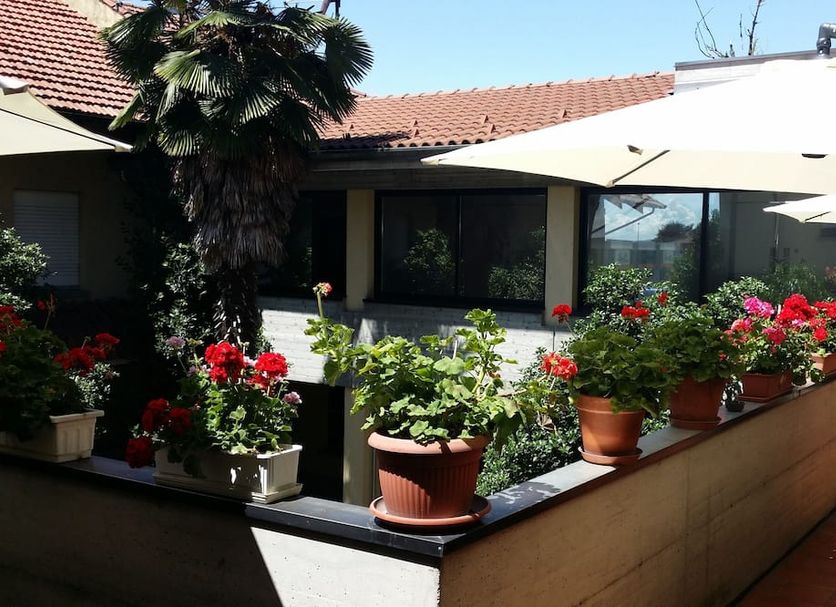 Flying Hotel in San Maurizio Canavese courtyard with potted flowers, palm tree and outdoor umbrellas