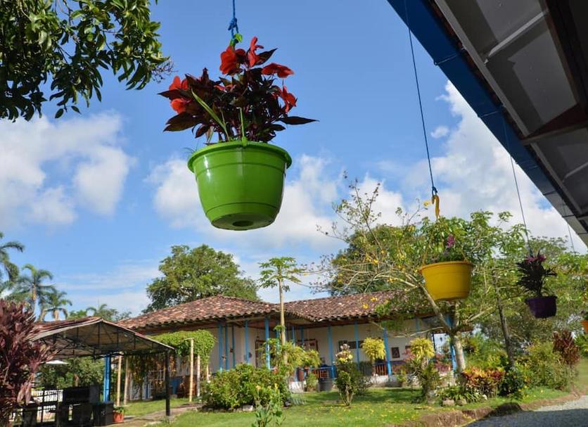 Outdoors view Photo