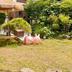 Outdoors view
