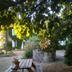 Outdoors view