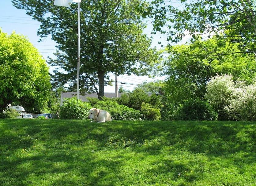 Outdoors view Photo