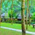 Outdoors view