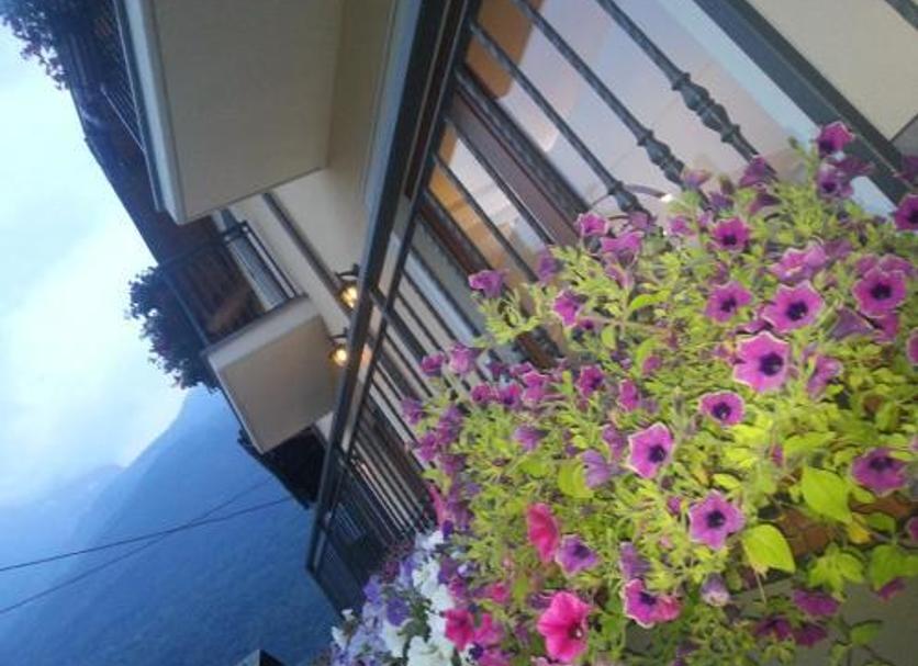 Other Photo