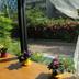Outdoors view