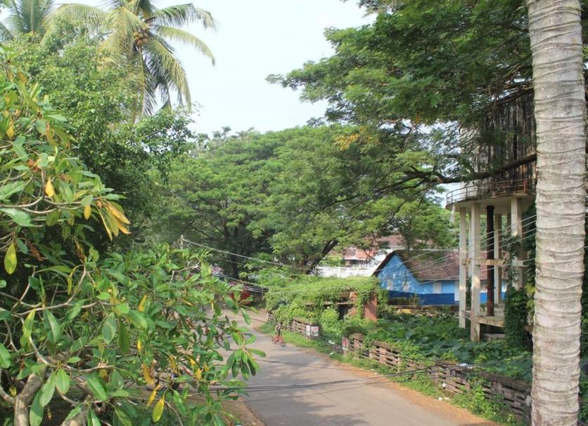 Outdoors view Photo