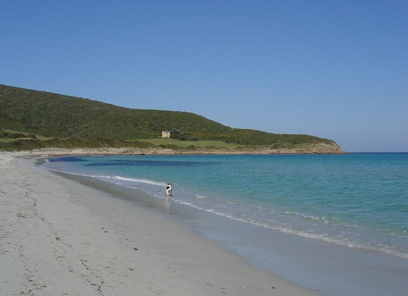 Beach Photo