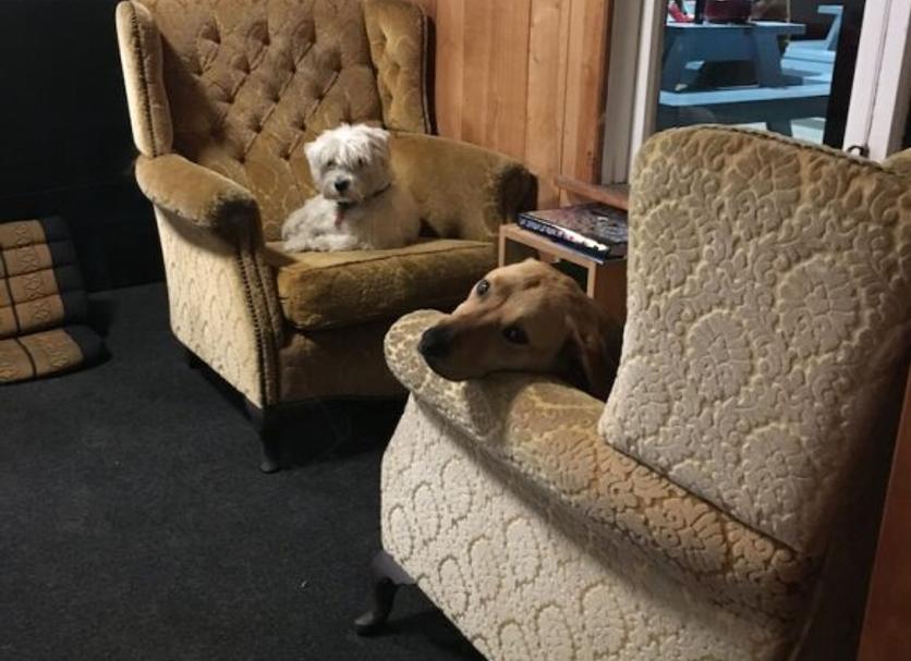 Living room Photo