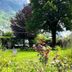 Outdoors view