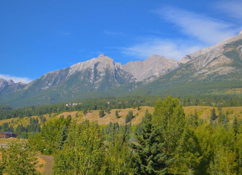 Outdoors view Photo