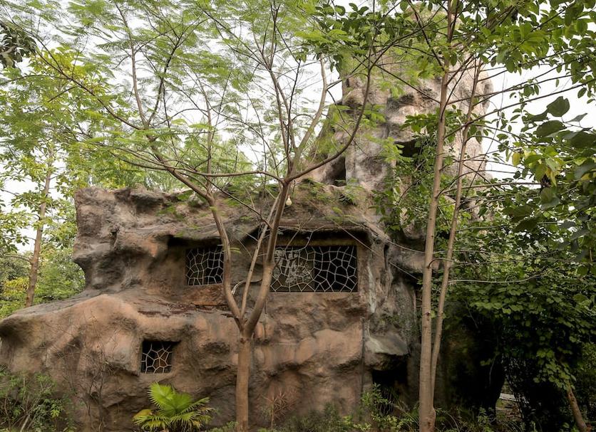 Outdoors view Photo