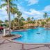 Sheraton Vistana Villages Resort Villas, I-Drive/Orlando pool area with palm trees and a waterfall in Orlando