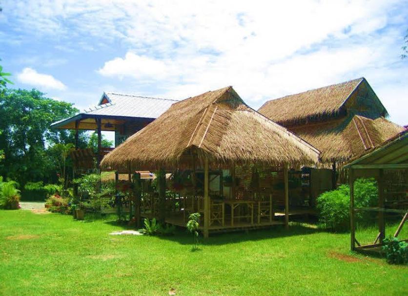 Other Photo